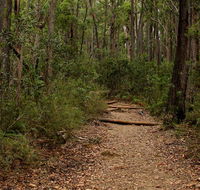 Pigeon House Mountain Didthul walking track - Accommodation Kalgoorlie