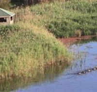 Spring Creek Wetlands Walk