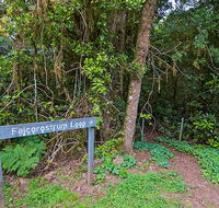 Falcorostrum loop walking track - Accommodation Kalgoorlie