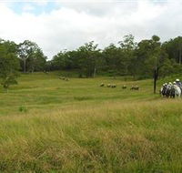 Numinbah Valley Adventure Trails - Accommodation Kalgoorlie