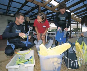 Dolphin Discovery Centre - Accommodation Kalgoorlie 1