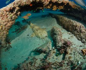 Aarhus Dive Site - Accommodation Kalgoorlie 3