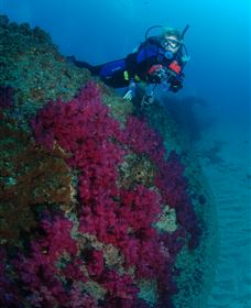 Aarhus Dive Site - Accommodation Kalgoorlie 2