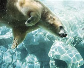 Australia's Sea World - Accommodation Kalgoorlie 0