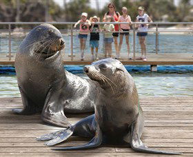 Australia's Sea World - Accommodation Kalgoorlie 1