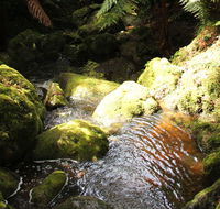 South East Forests National Park - Accommodation Kalgoorlie