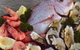 Stones Oysters Seafood - thumb 0