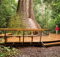Burrawan State Forest - Accommodation Kalgoorlie