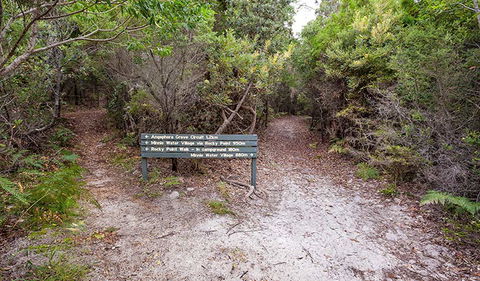 Angophora Grove Walking Track - Accommodation Kalgoorlie 0