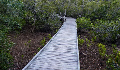 Walk On Water Walking Track - Accommodation Kalgoorlie 3