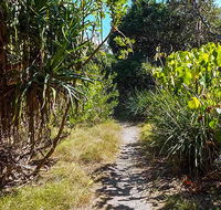 North Head walking track
