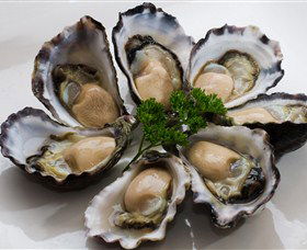 Tathra Oysters - Accommodation Kalgoorlie 0