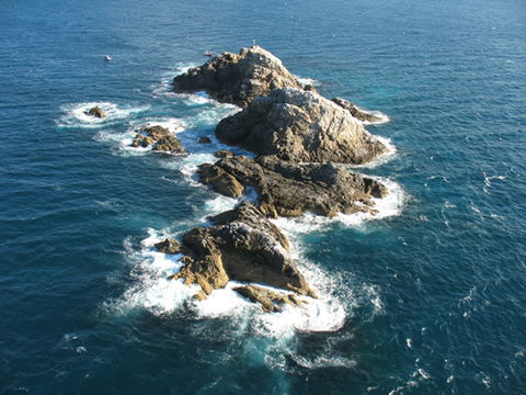 Cape Byron Marine Park - Accommodation Kalgoorlie 1