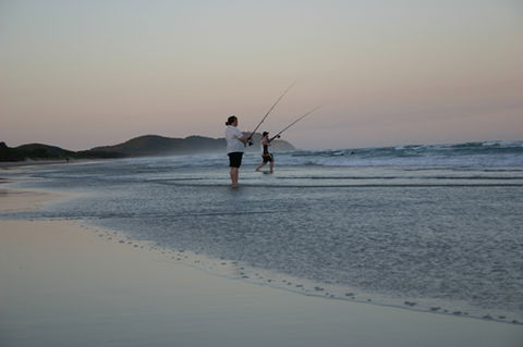 Cape Byron Marine Park - Accommodation Kalgoorlie 2