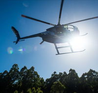 Tall Timbers Adventure Tours - Accommodation Kalgoorlie