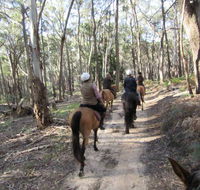 Silver Brumby Trails - Accommodation Kalgoorlie