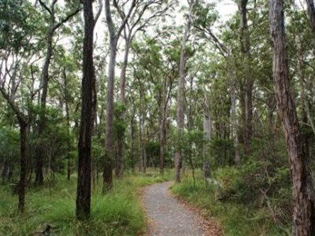 Caboolture Regional Environment Education Centre - Walking Trails - Accommodation Kalgoorlie 0