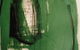 Claire Souter Gallery - thumb 0