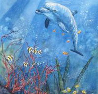 Nadas Fine Art Gallery - Accommodation Kalgoorlie