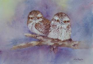 Nada’s Fine Art Gallery - Accommodation Kalgoorlie 1