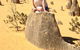 Pinnacles Desert, Koalas And Sandboarding 4WD Day Tour From Perth - thumb 18