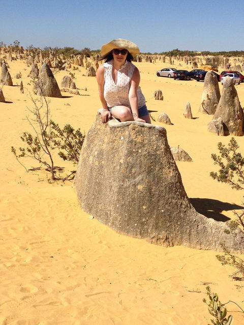 Pinnacles Desert, Koalas And Sandboarding 4WD Day Tour From Perth - Accommodation Kalgoorlie 18