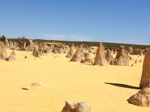 Pinnacles Desert, Koalas And Sandboarding 4WD Day Tour From Perth - Accommodation Kalgoorlie 15