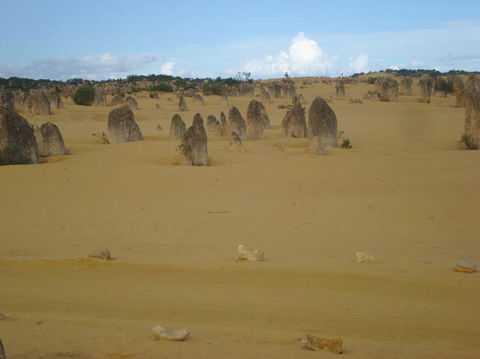 Pinnacles Desert, Koalas And Sandboarding 4WD Day Tour From Perth - Accommodation Kalgoorlie 23