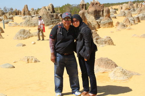 Pinnacles Desert, Koalas And Sandboarding 4WD Day Tour From Perth - Accommodation Kalgoorlie 12