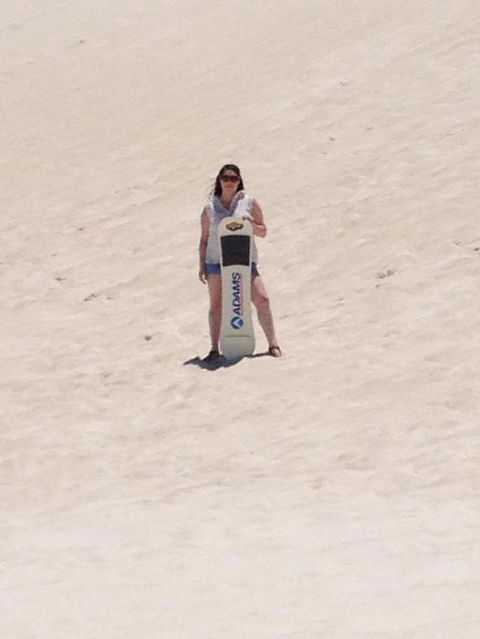 Pinnacles Desert, Koalas And Sandboarding 4WD Day Tour From Perth - Accommodation Kalgoorlie 21