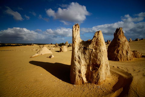 Pinnacles Desert, Koalas And Sandboarding 4WD Day Tour From Perth - Accommodation Kalgoorlie 6