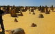Pinnacles Desert, Koalas And Sandboarding 4WD Day Tour From Perth - thumb 11