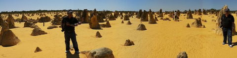 Pinnacles Desert, Koalas And Sandboarding 4WD Day Tour From Perth - Accommodation Kalgoorlie 11