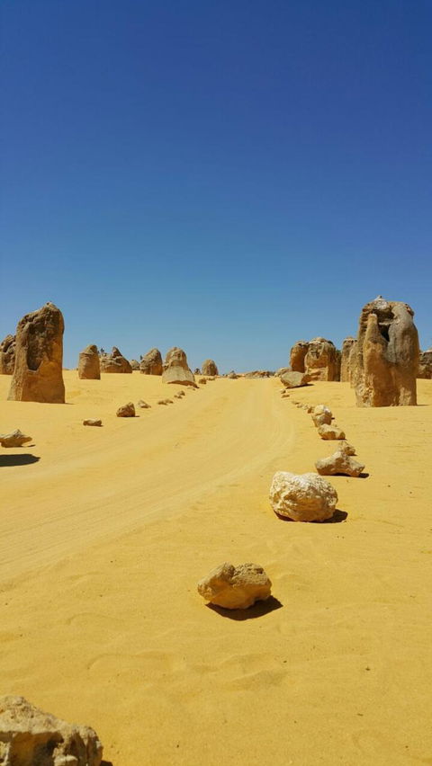 Pinnacles Desert, Koalas And Sandboarding 4WD Day Tour From Perth - Accommodation Kalgoorlie 3