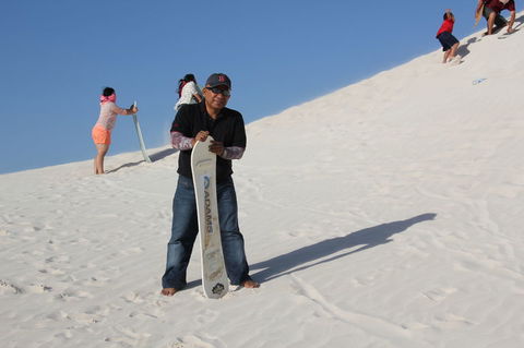 Pinnacles Desert, Koalas And Sandboarding 4WD Day Tour From Perth - Accommodation Kalgoorlie 9