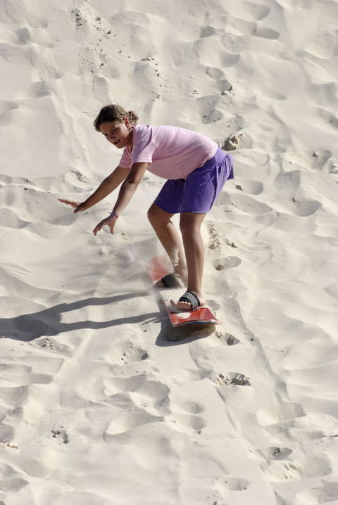 Pinnacles Desert, Koalas And Sandboarding 4WD Day Tour From Perth - Accommodation Kalgoorlie 24