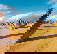 Pinnacles Desert Koalas and Sandboarding 4WD Day Tour from Perth - Accommodation Kalgoorlie