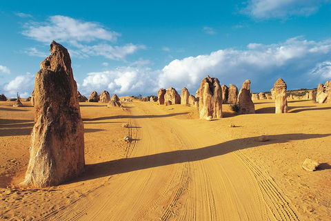 Pinnacles Desert, Koalas And Sandboarding 4WD Day Tour From Perth - Accommodation Kalgoorlie 0