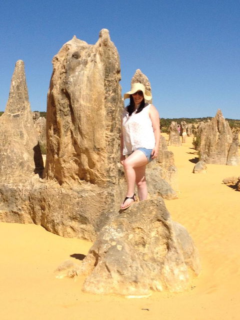 Pinnacles Desert, Koalas And Sandboarding 4WD Day Tour From Perth - Accommodation Kalgoorlie 16