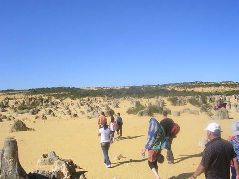 Pinnacles Desert, Koalas And Sandboarding 4WD Day Tour From Perth - Accommodation Kalgoorlie 25