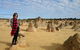 Pinnacles Desert, Koalas And Sandboarding 4WD Day Tour From Perth - thumb 13