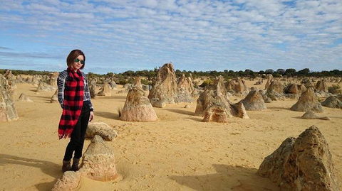 Pinnacles Desert, Koalas And Sandboarding 4WD Day Tour From Perth - Accommodation Kalgoorlie 13