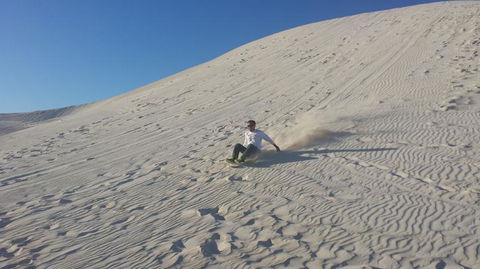Pinnacles Desert, Koalas And Sandboarding 4WD Day Tour From Perth - Accommodation Kalgoorlie 14