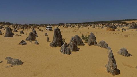 Pinnacles Desert, Koalas And Sandboarding 4WD Day Tour From Perth - Accommodation Kalgoorlie 4