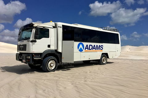 Pinnacles Desert, Koalas And Sandboarding 4WD Day Tour From Perth - Accommodation Kalgoorlie 28