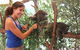 Pinnacles Desert, Koalas And Sandboarding 4WD Day Tour From Perth - thumb 29