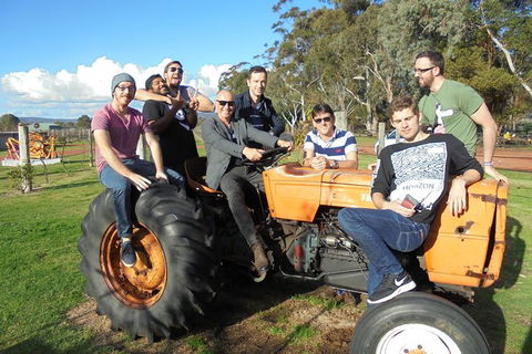 1/2 Day Swan Valley Wine Cheese & Chocolate Tour Inc Afternoon Cruise To Perth - Accommodation Kalgoorlie 8