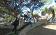 1/2 Day Swan Valley Wine Cheese & Chocolate Tour Inc Afternoon Cruise To Perth - thumb 10