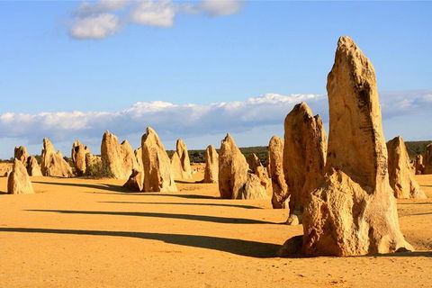 Pinnacles And Yanchep National Park Day Trip From Perth Including Lobster Shack Lunch And Sandboarding - Accommodation Kalgoorlie 0