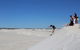 Pinnacles And Yanchep National Park Day Trip From Perth Including Lobster Shack Lunch And Sandboarding - thumb 4